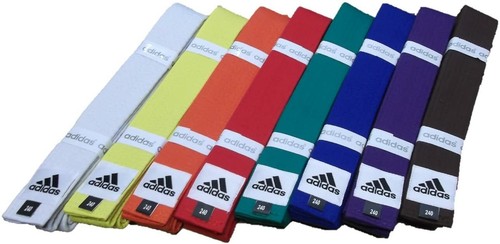 JAPAN adidas Judo Blue Belt ( size 5 / 280cm) from Japan 5615 - Picture 2 of 2
