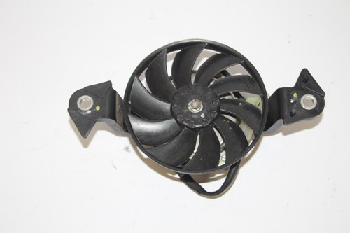 Lüfter Kühlerlüfter Kühlerventilator Yamaha YZF-R 125 RE40 2023- (Lager 5-25)