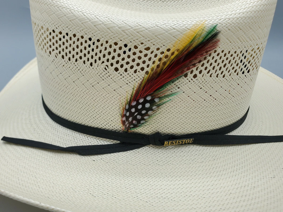 WESTERN COWBOY Feather Hatband tie for Cowboy hat - FHB-02