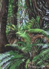 Original Landscape Painting Homestead Trail Fern Oregon Forest 5x7 Parry Johnson