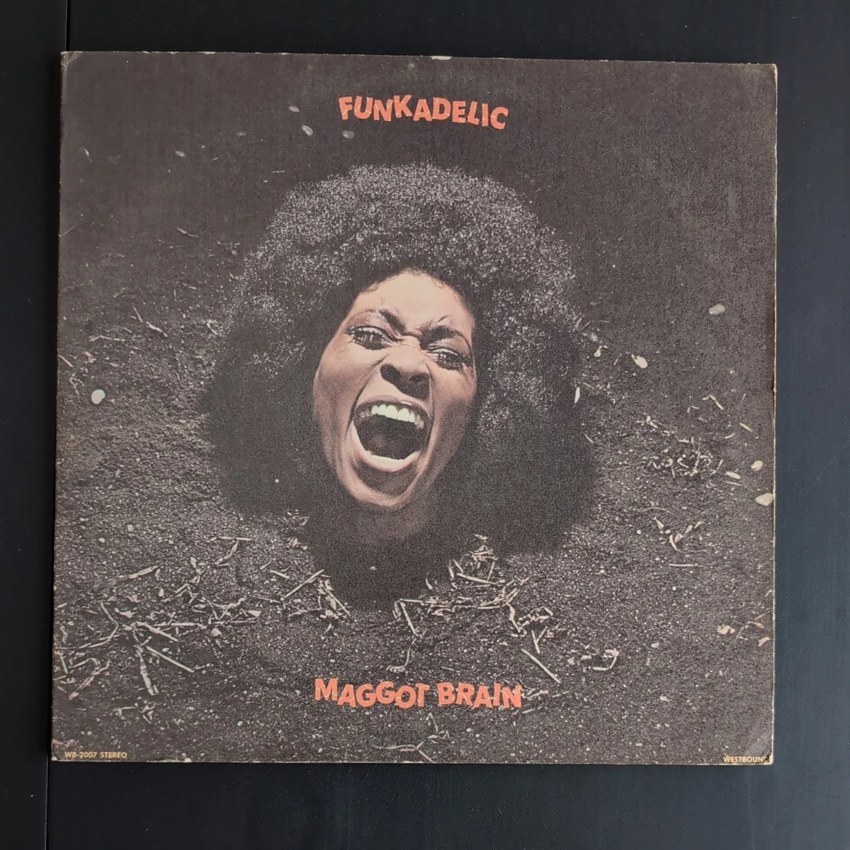 Funkadelic Maggot Brain for sale | eBay