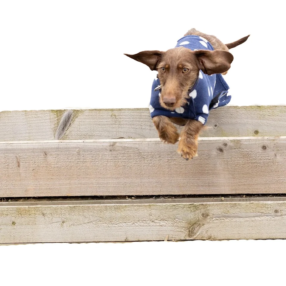 Supreme Products Abrigo para Perros Diseño Lunares (BZ5736) - Imagen 2 de 2