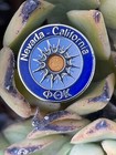 Vtg. Phi Theta Kappa ΦΘΚ Honor Society Fraternity Member Pin Nevada California — photo 5