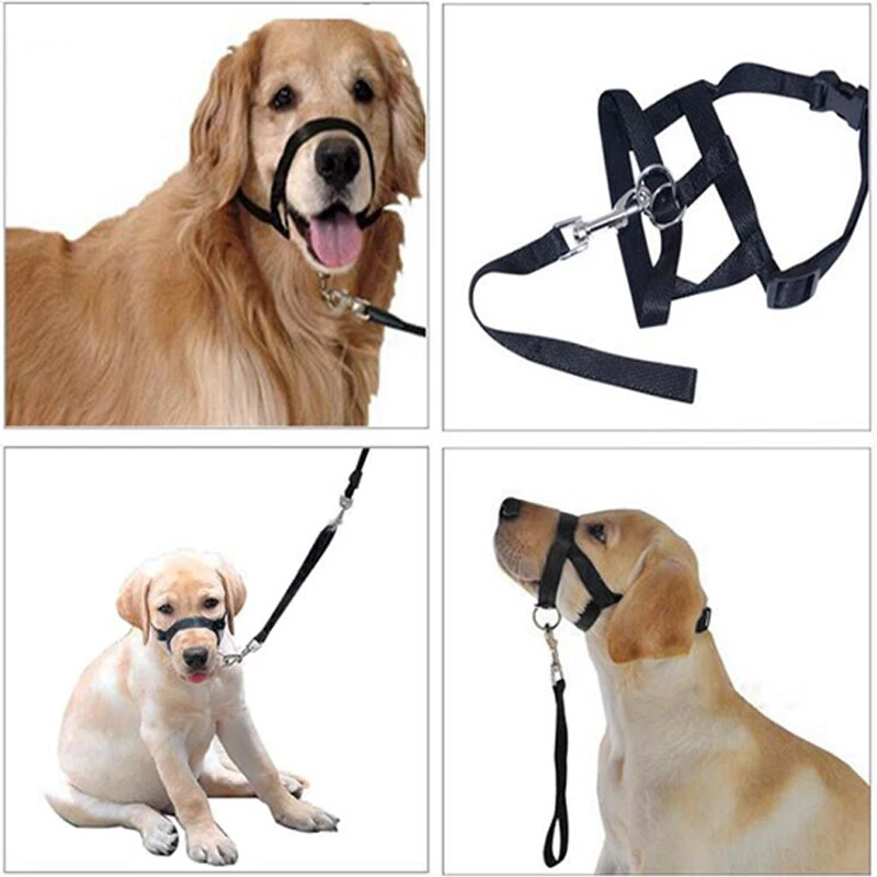 New Nylon Dog Muzzle Dogalter Dog Halter Halti Training, 50 OFF