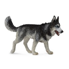 CollectA Siberian Husky