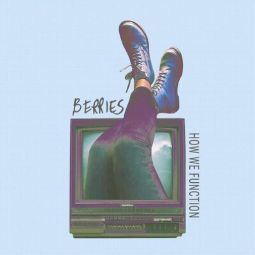 Berries How We Function (Vinyl LP) 12" Album