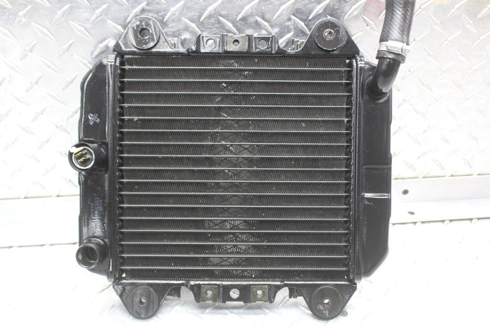 Kawasaki Ninja 250R Ex250F 2006 radiador motor enfriador radiador de refrigeración Foto 2 de 4