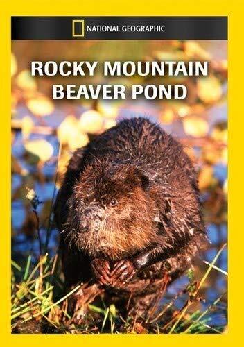 Rocky Mountain Beaver Pond (DVD)