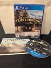 Truberbrook Standard Edition PS4 Video Game Adventure Mystery