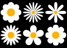 6 Pack of White Daises Vinyl Graphic Decals Car Window Laptop Tablet Tumblers