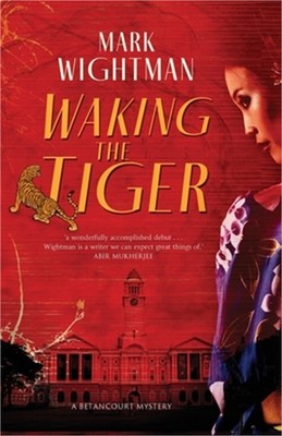 Waking the Tiger (Paperback or Softback)