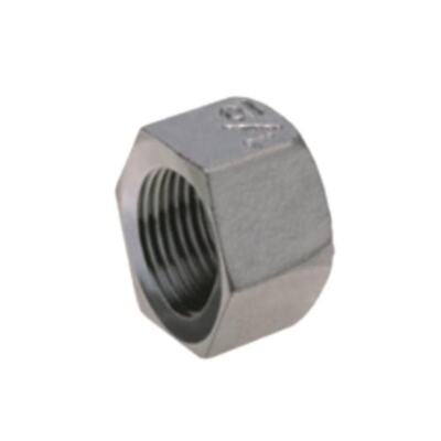 Edelstahl 316 Sechskantkappe BSP