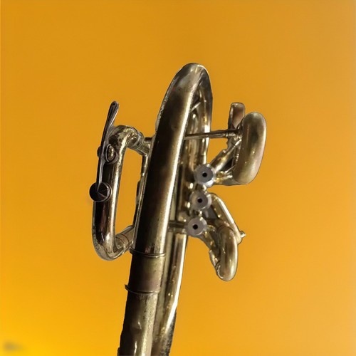 Vintage Holton Marching French Horn - Picture 10 of 12