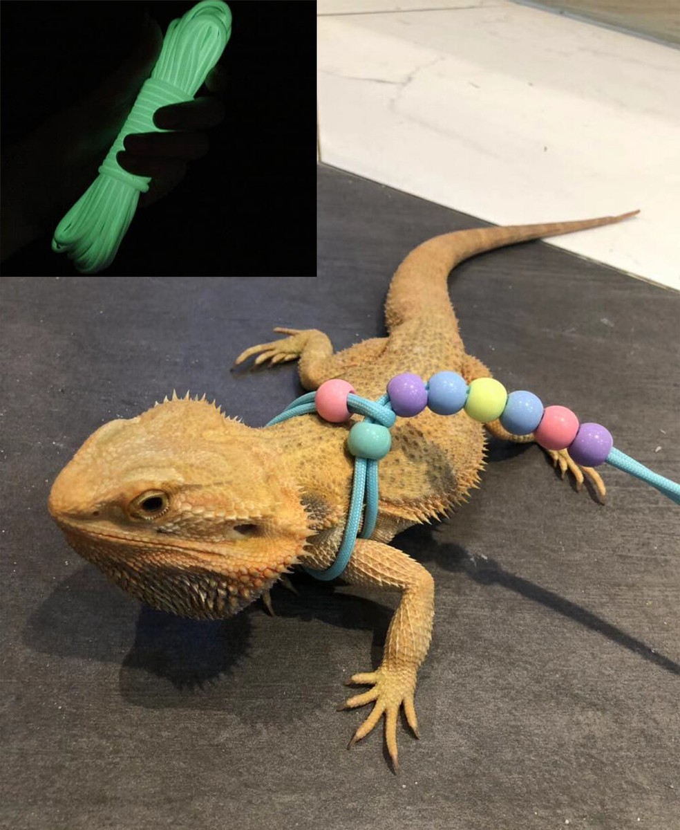 Bearded Dragon Reptile Adjustable Harness And Leash Set With