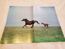 Vintage Xerox Book Club 1977 Western Horse Pony Stallion Poster Wall Art 21x16