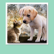 White Cardstock Scrapbook Paper 12x12 Heavy Weight 120 lb Cover Card Stock ...