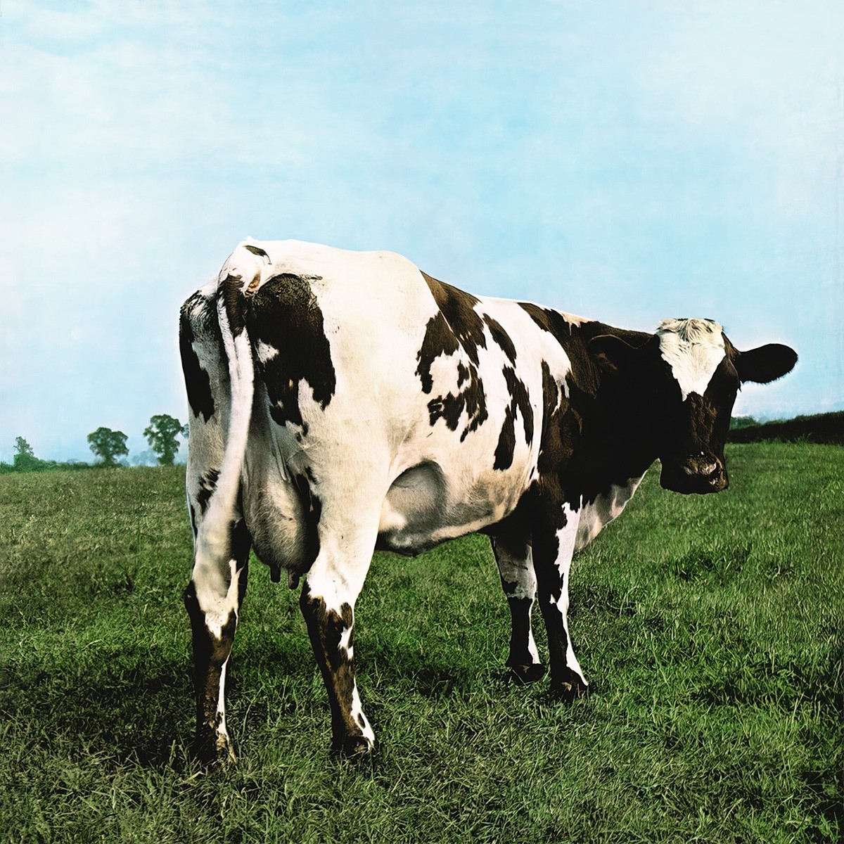 Pink Floyd Atom Heart Mother 12x12 Album Cover Replica Poster | eBay