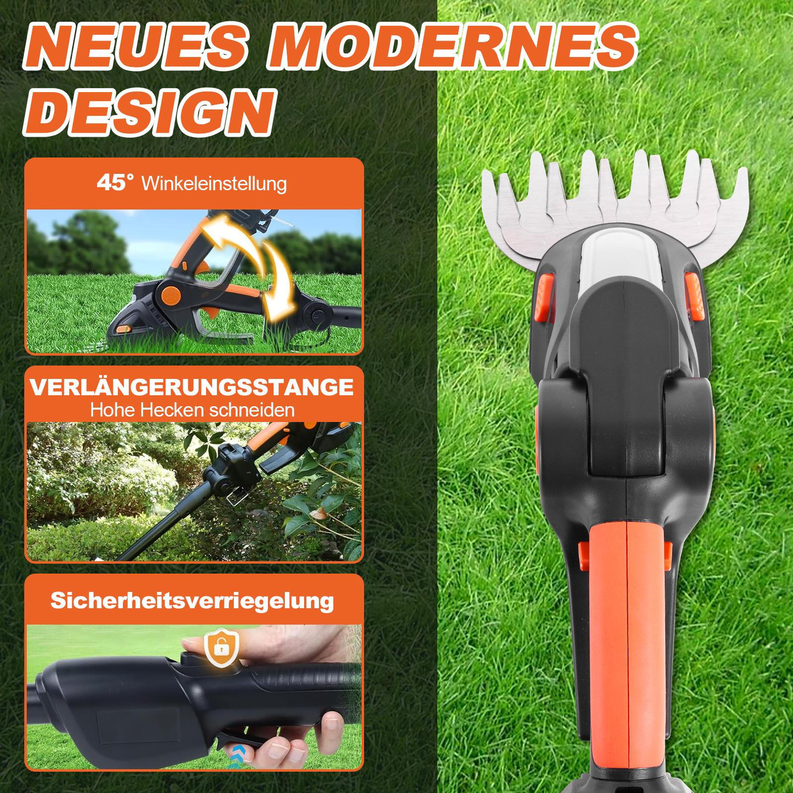Bild 5 von 12