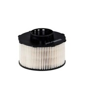 Filtron PE 816/6 Kraftstofffilter FüR CitroËN DS Opel Peugeot Toyota Vauxhall