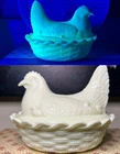 Custard Uranium Glass Hen on Nest RARE Mother & Chick Fenton LG Wright Glows UV