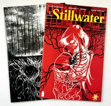 Image STILLWATER (2020) #1 1st Print + Micelli Variant LTD 500 (NM) Ships FREE!