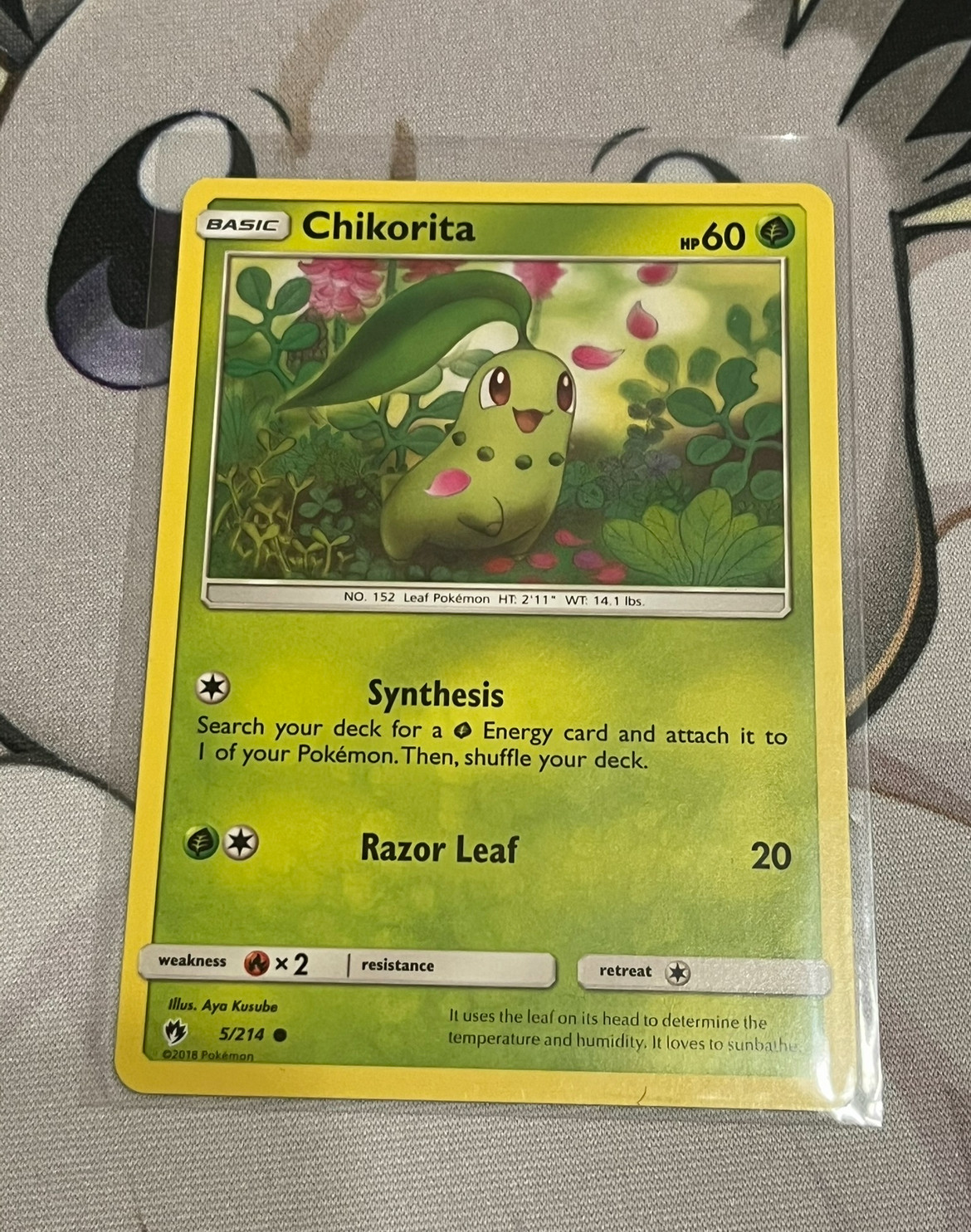 Chikorita  5/214 Pokemon SM8 Lost Thunder Pokemon Card NM