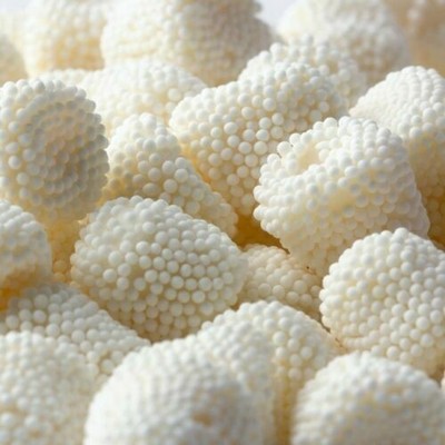 CHAMPAGNE BUBBLES - Jelly Candy - 1/2lb BAG -BULK - SHIPS FREE
