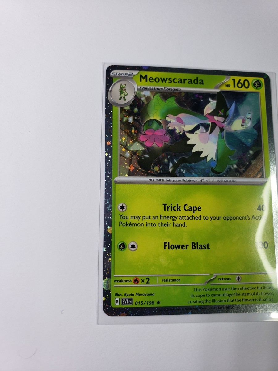 MEOWWWTHRA スドラ 2体セット 1月11日(土)より販売開始】【MEOWWWTHRA】ベビースドラ(グリーン