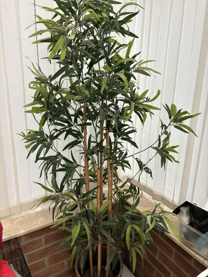 IKEA Fake Bamboo Plant House Decor Indoor Plant eBay