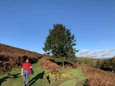 Photo 6x4 Track to Upper Cefn Miniog Bettws/SO2919 On Deri c2021