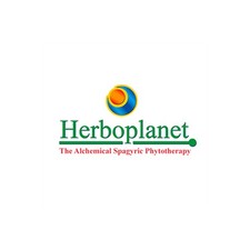 No Lipo Herboplanet 36 Capsule