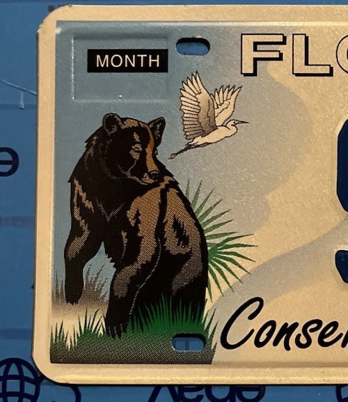 LICENSE PLATES Sample Florida, Florida Blackbear Conserve Wildlife