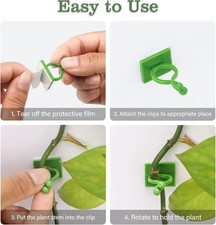 Plant Wall Clips Self Adhesive Vine Holder Climbing Support Fixing Hook