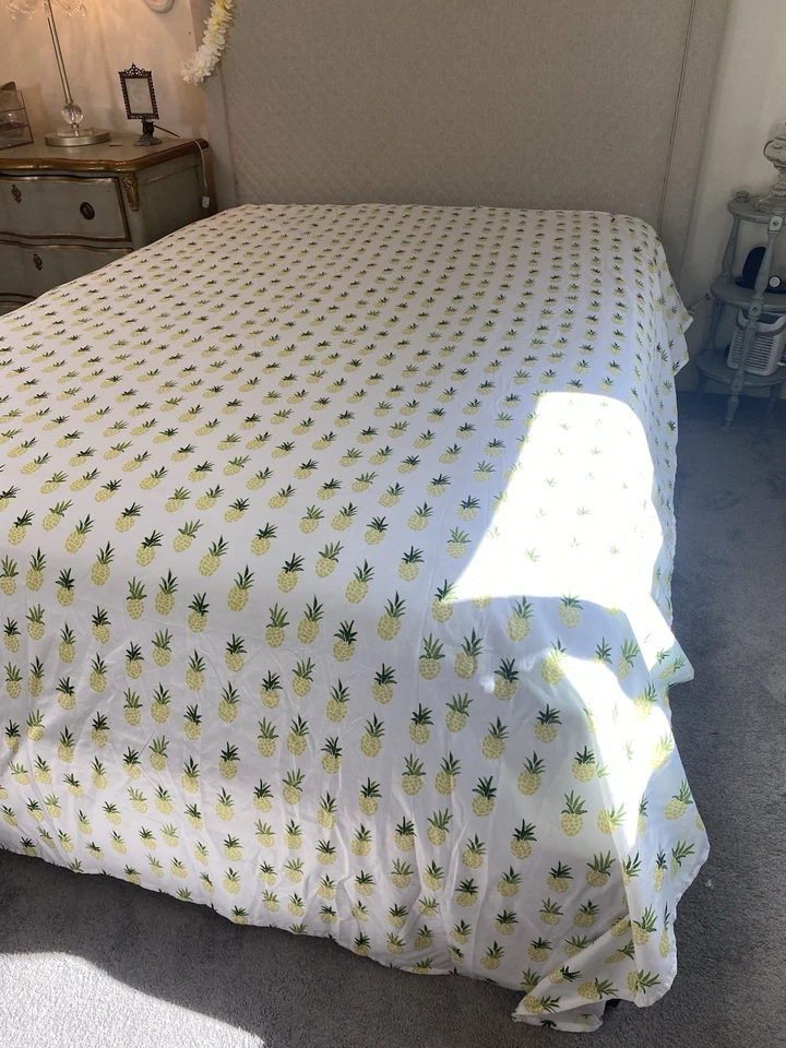 Caribbean Joe Piña - Juego Completo de 4 Hojas de Microfibra Doble Cepillado. Foto 4 de 4