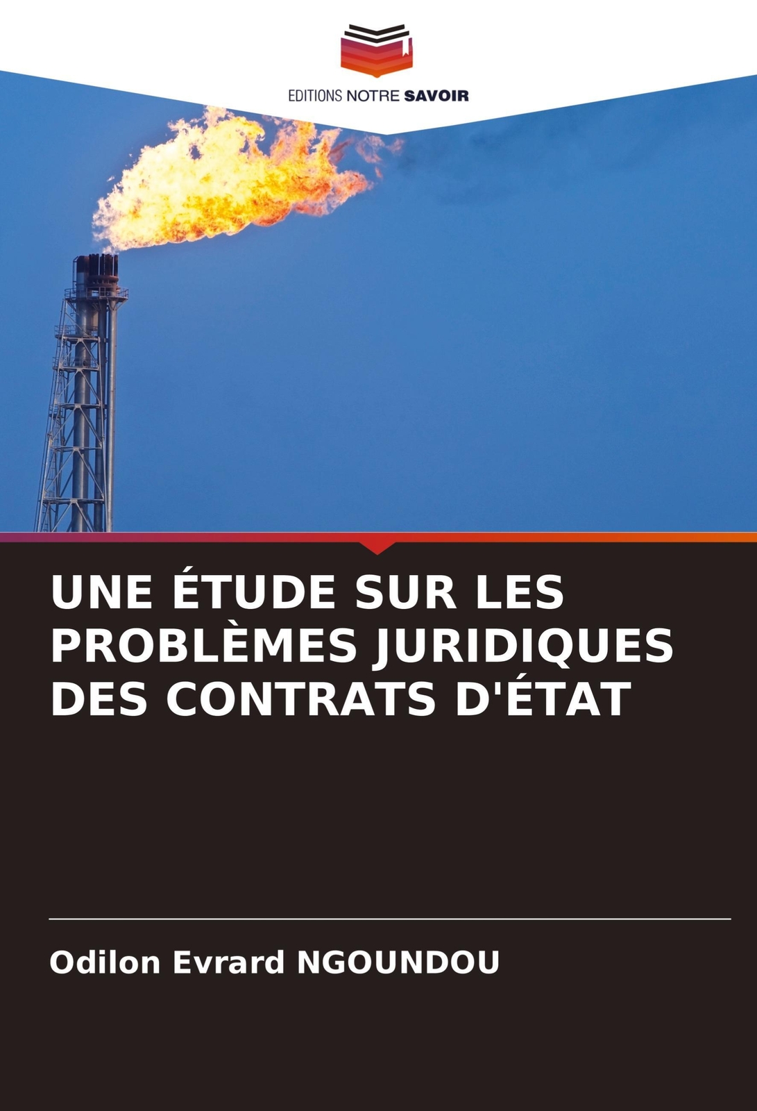 Thumbnail - Une Étude Sur Les Problèmes Juridiques Des Contrats D'état | Ngoundou
