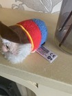 Foto 5 di 7