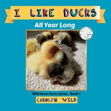 I Like Ducks: All Year Long by Wild, Carolyn [Paperback]
