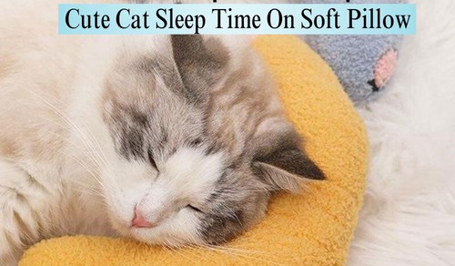 Pet Cat Pillows for Cats Dogs Ultra Soft Fluffy Pet Calming Toy U Shape Cuddler - Picture 16 of 57