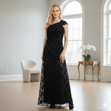 Carolina Herrera Black Silk Chiffon Maxi Gown Dress Runway Size 14 Semi Sheer