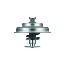 Thermostat Peugeot 604