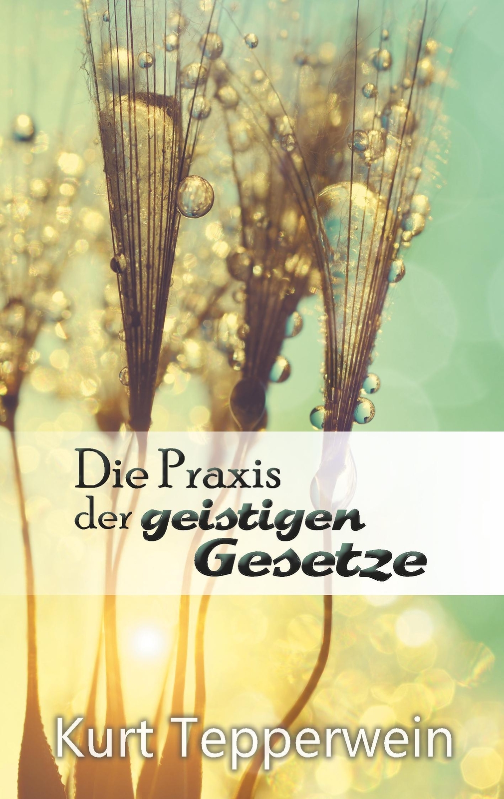 Thumbnail - Kurt Tepperwein Die Praxis Der Geistigen Gesetze