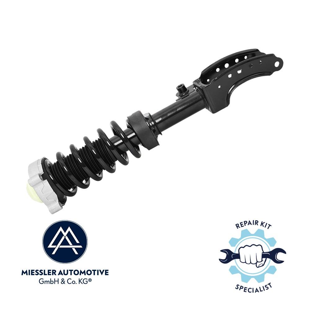 Suspension strut Cayenne, Q7, Touareg, front left