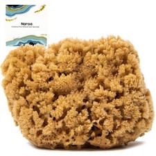 Naroa Massage Natural Shower Sponge X 1 Count Pack of 1 , Shades Brown