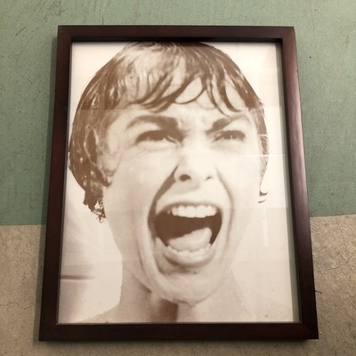 Janet Leigh Psycho Hanging Picture Shower Scene