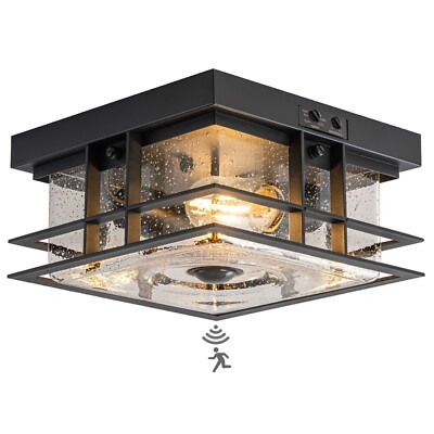 Dusk to Dawn Outdoor Ceiling Lights with Motion Sensor Black Flush Mount 2-Light