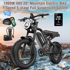 HIKEEP 20'' ebike 1000W Peak Mountain Bicycle Fat Tire 48V 15Ah for Adults Bike