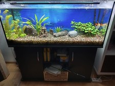 aquarium komplett