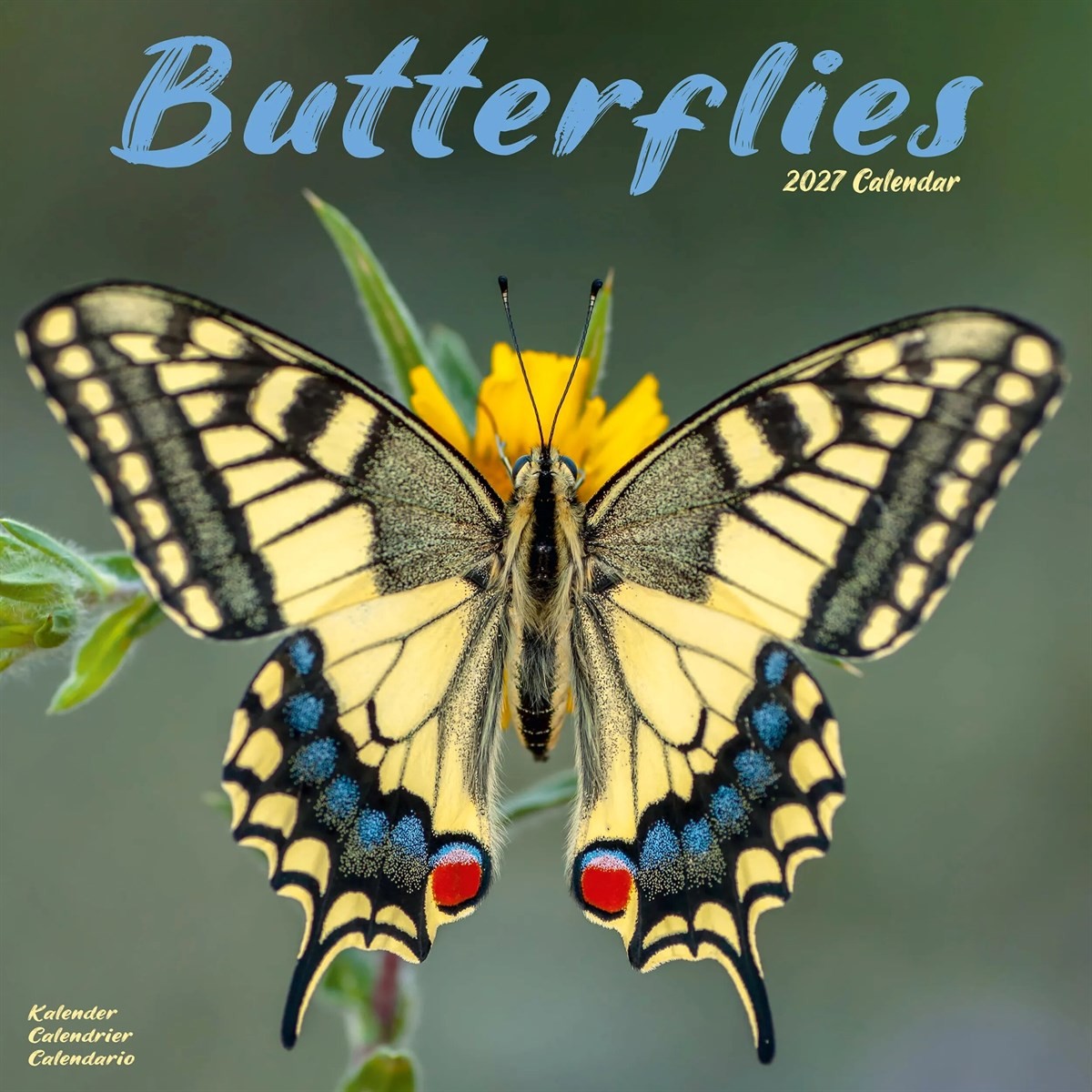 Butterflies Calendar 2027 - Image 4