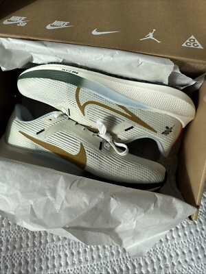 Nike Pegasus 40 SE