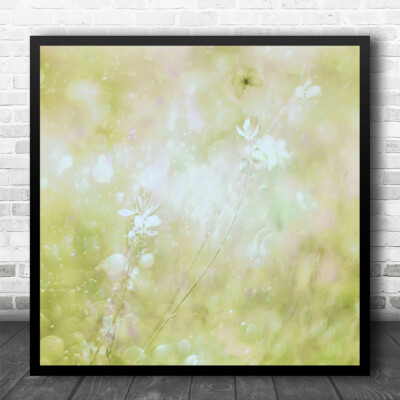 Weiche Sommersaison Wiese Schmetterling weiße Blume Bokeh quadratischer Wandkunstdruck